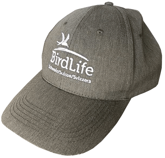 Casquette BirdLife kaki  BirdLife Schweiz/Suisse/Svizzera