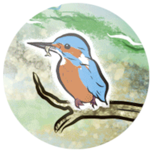 Martin-p&ecirc;cheur