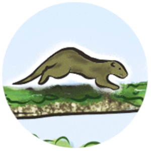 Loutre de rivi&egrave;re