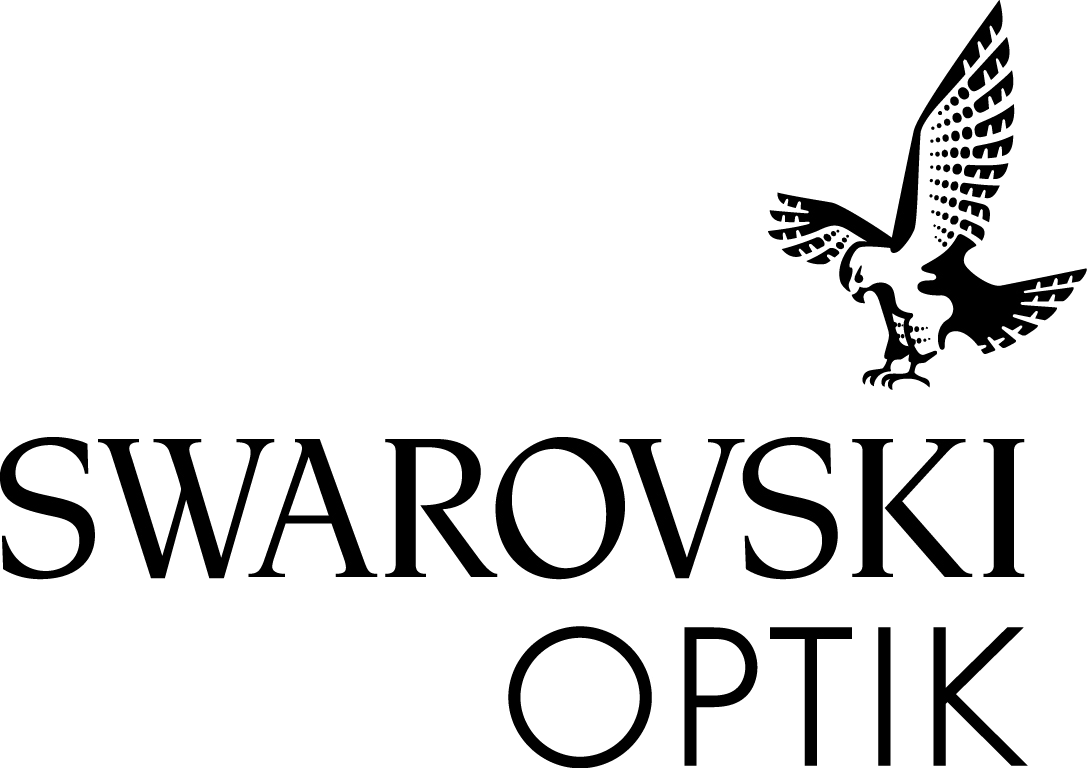 swarovski