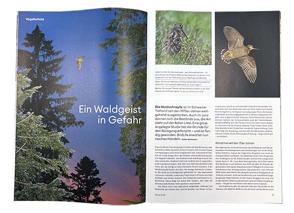 Willkommen bei Ornis! BirdLife Schweiz/Suisse/Svizzera