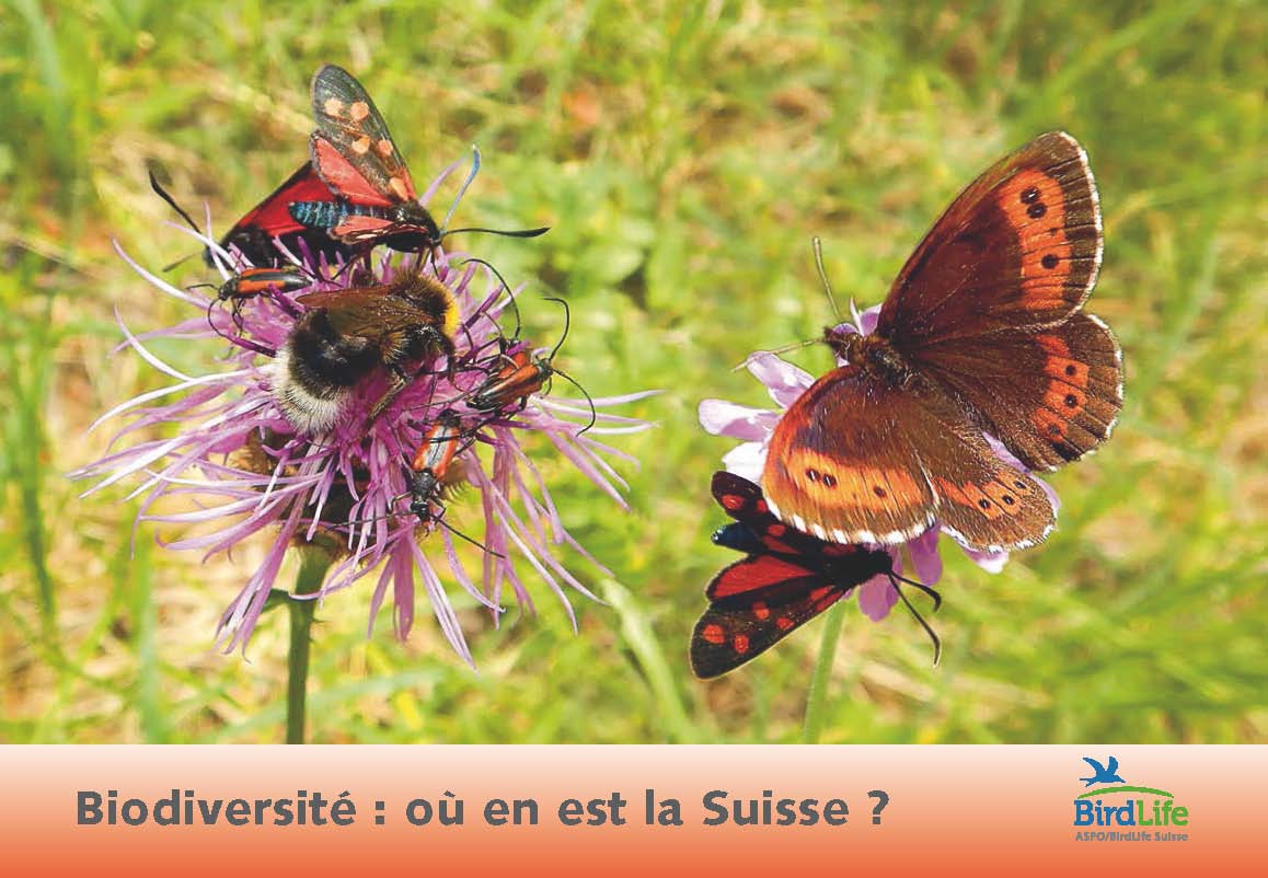 brochure_infra_ecol.jpg