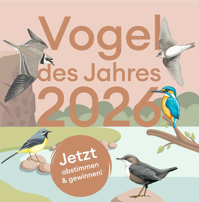 Jetzt aktiv werden