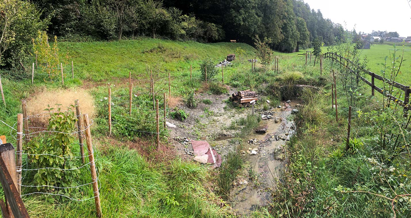 Artenförderung Hotspot