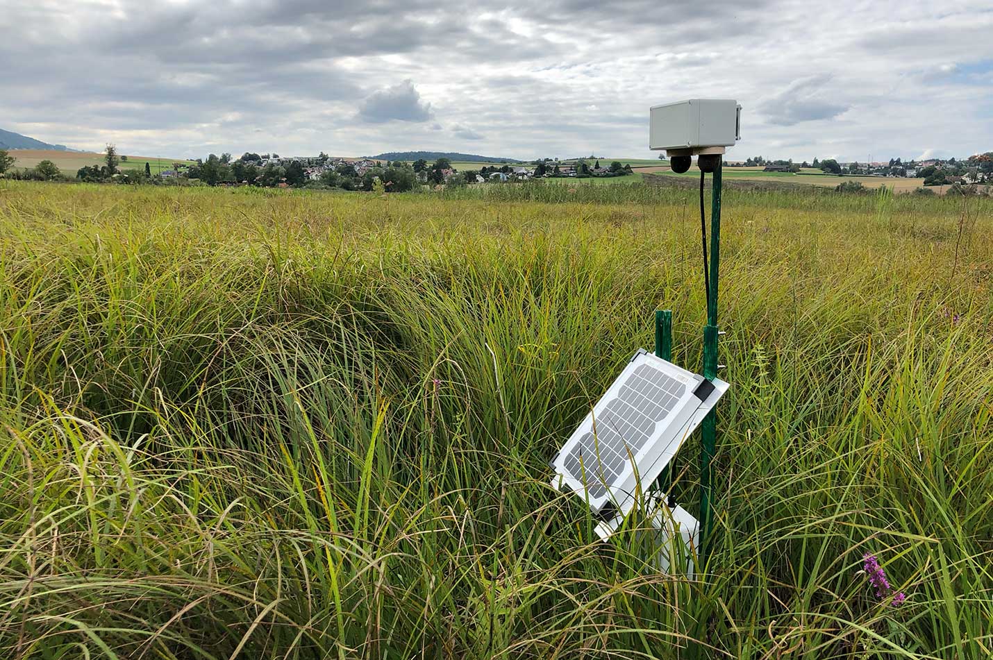 Akustik-Monitoring Neeracherried