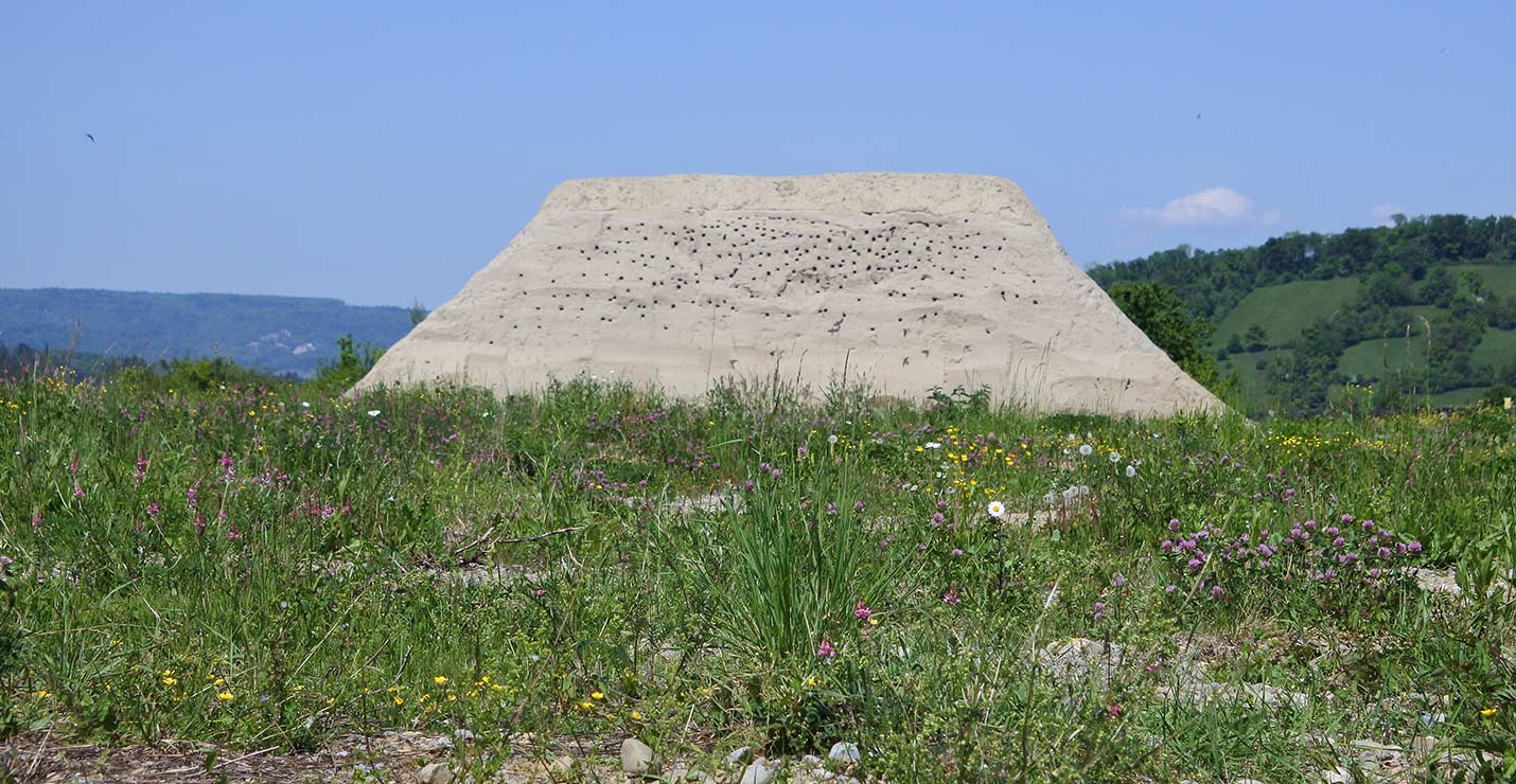 Uferschwalbenwand Birr