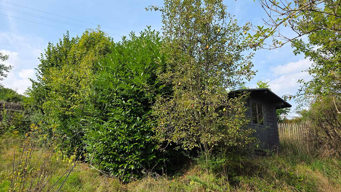 Gartenhäuschen auf der Parzelle