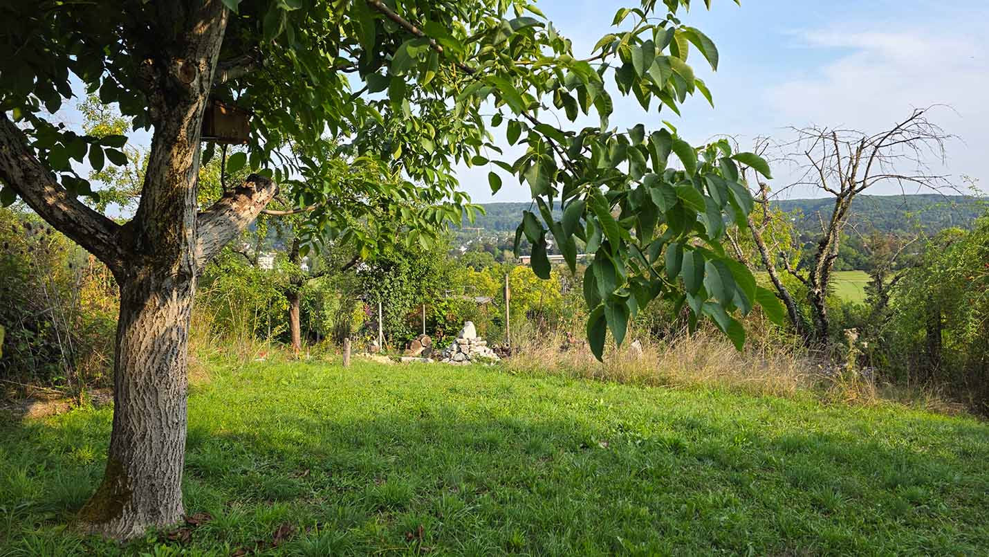 Landparzelle im Schlipf