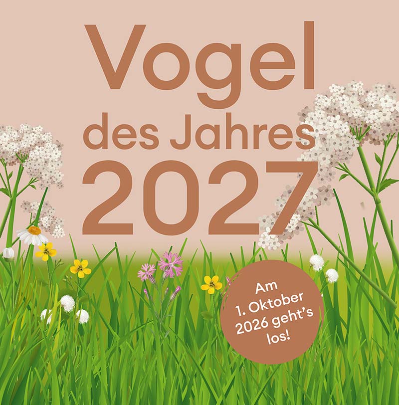 Jetzt aktiv werden