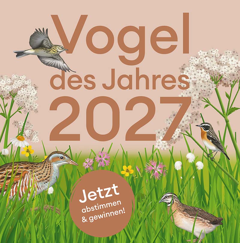 Jetzt aktiv werden