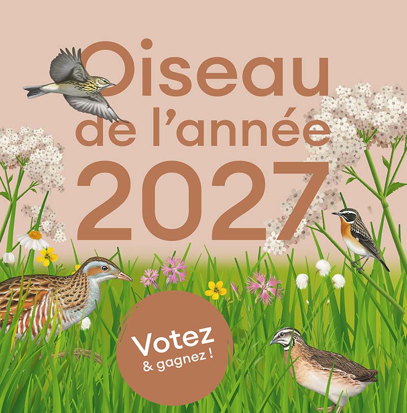 Votez maintenant