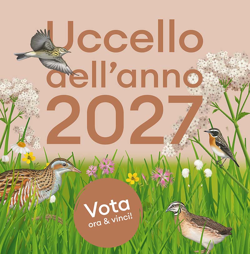 Vota ora