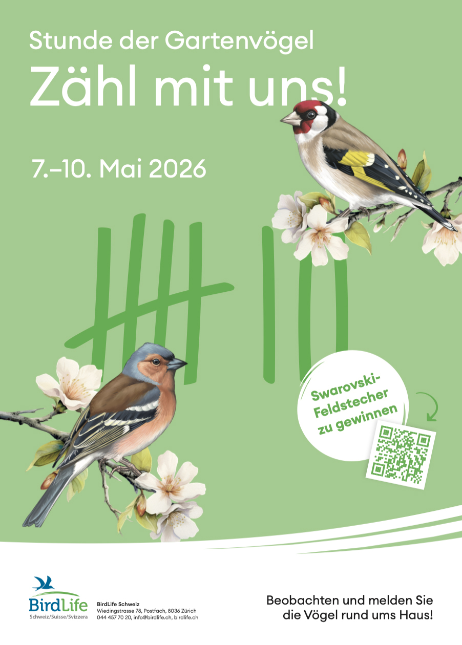 SdG_Poster_A3_Druckdaten_2026_D.jpg