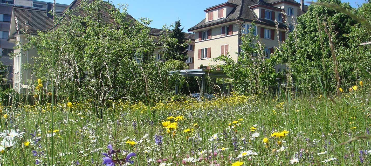 Mehr Natur im Siedlungsraum  BirdLife Schweiz/Suisse/Svizzera