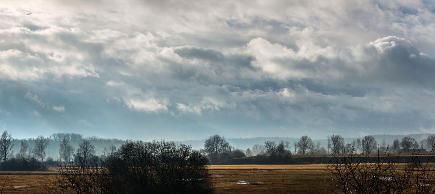 Stimmungsbild Neeracherried