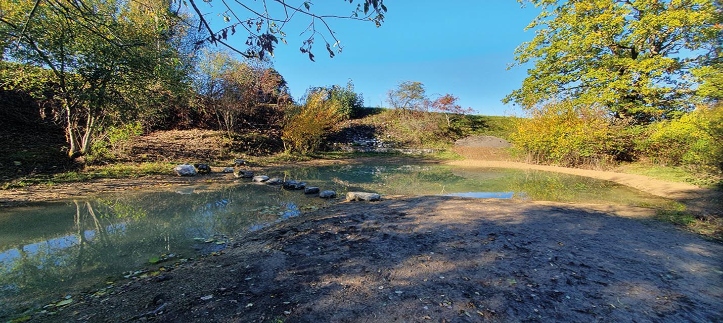 Beinwil am See