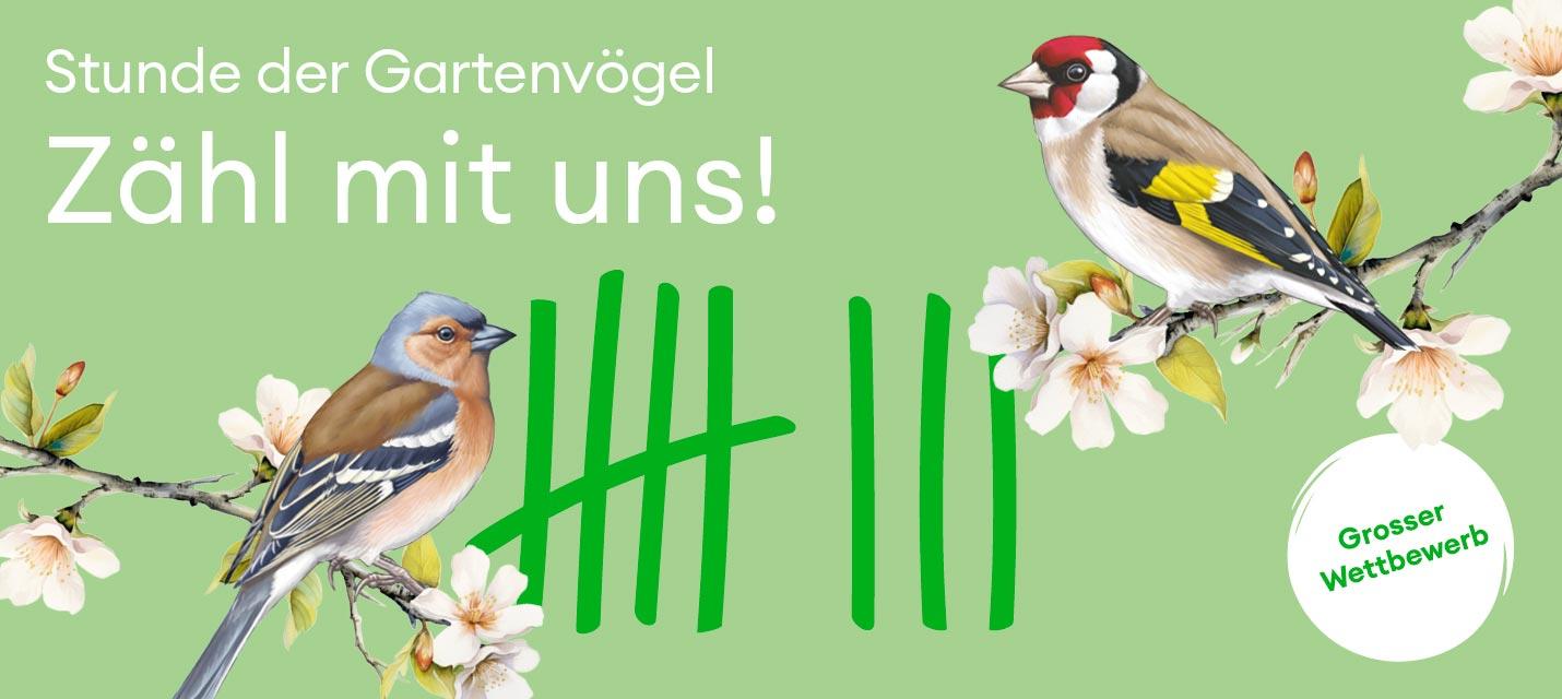 Stunde der Gartenvögel Logo