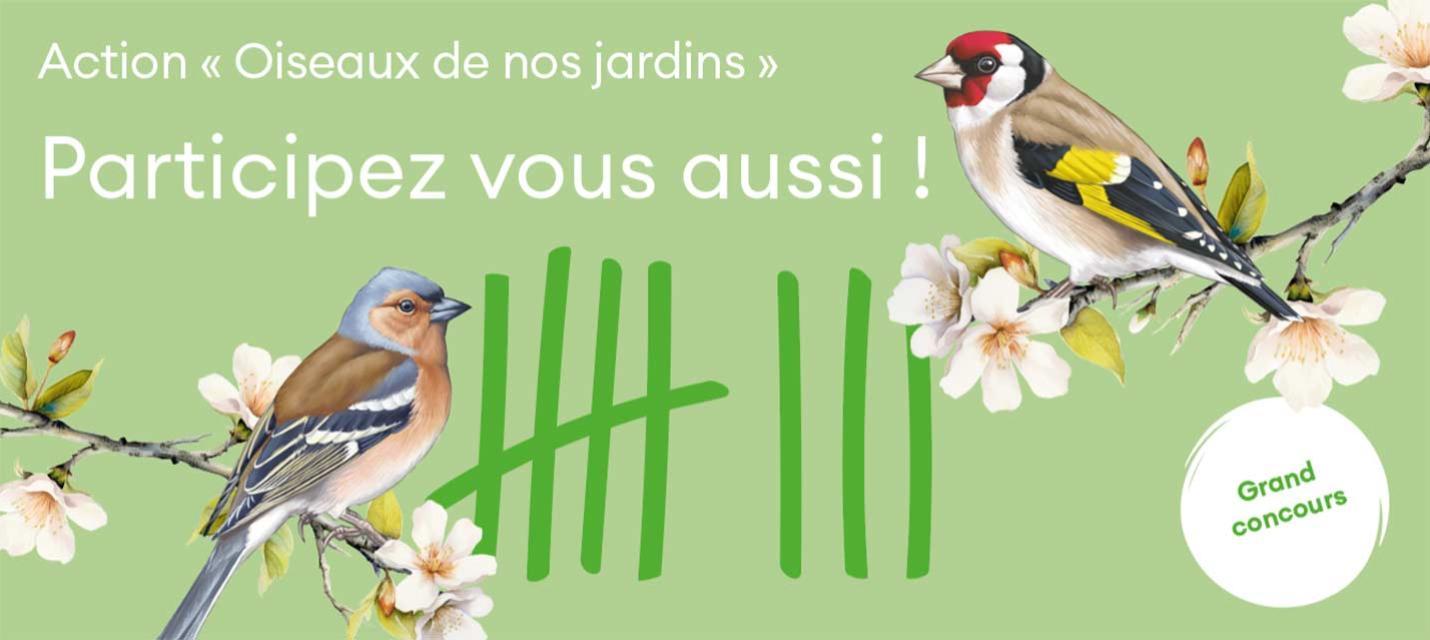 Action "Oiseaux de nos jardins" pour les écoles