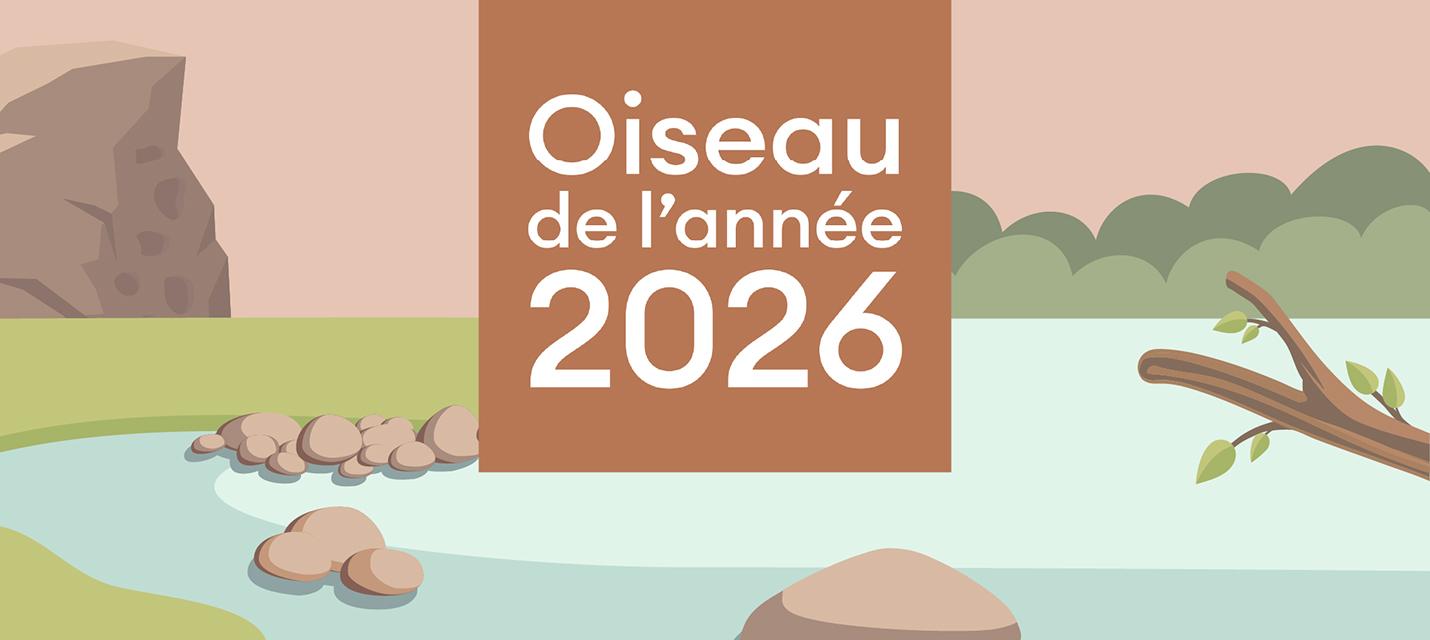 Vote Oiseau de l'année 2026