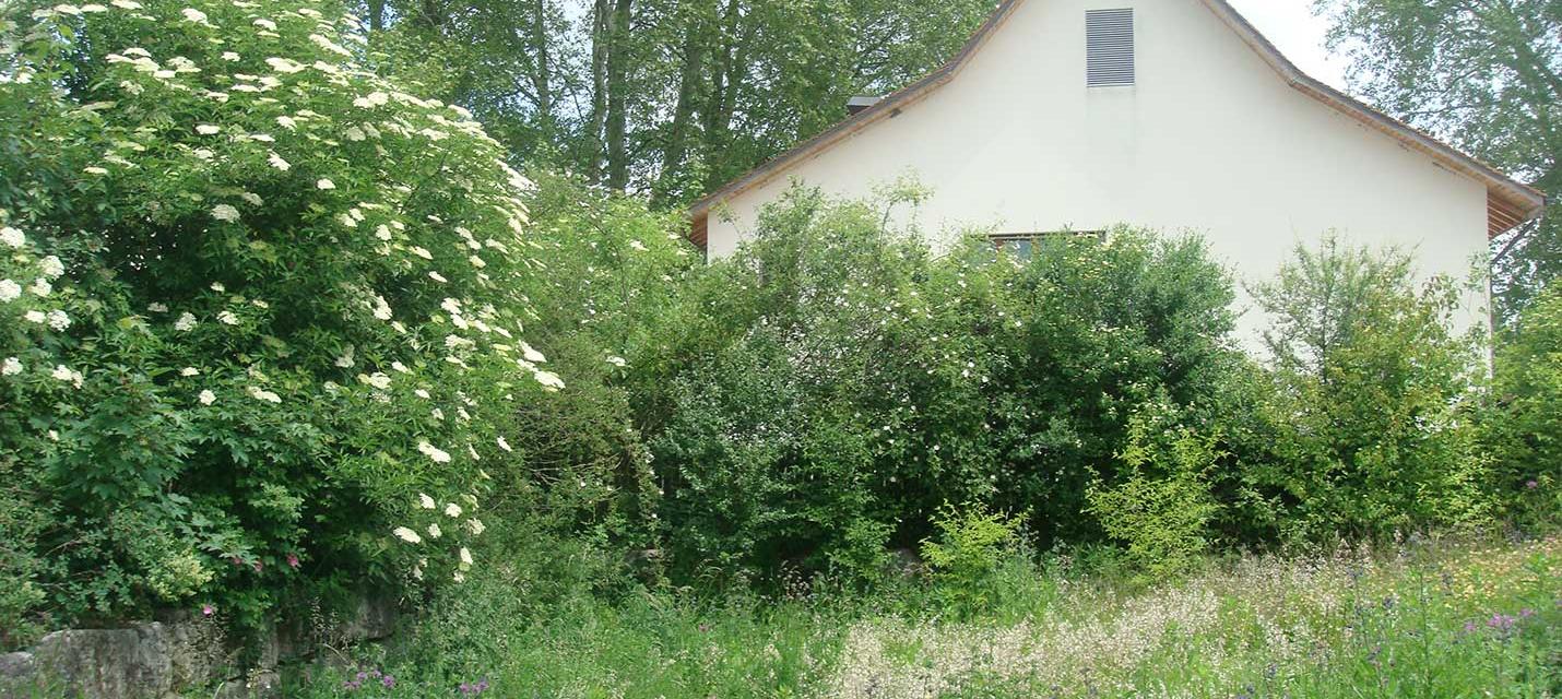 Hecke