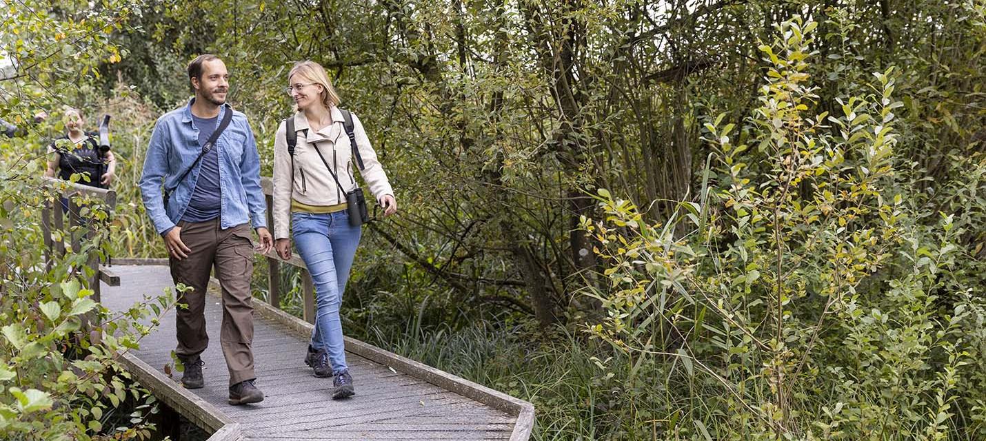 F&uuml;hrung_Neeracherried