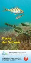Feldführer Fische der Schweiz