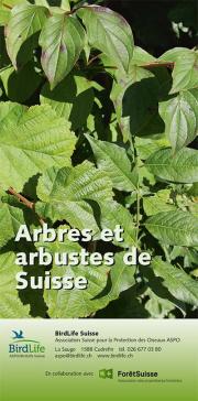 Arbres et arbustes de Suisse