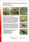 Schutz der Rebberge mit Rücksichtnahme auf Vögel und andere Tiere