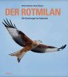 Der Rotmilan – ein Greifvogel im Aufwind