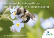 Blumenreiche Lebensräume und Wildbienen im Siedlungsgebiet