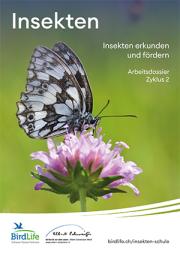 Arbeitsdossier Insekten Zyklus 2