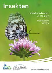 Arbeitsdossier Insekten Zyklus 3