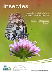 Dossier pédagogiques insectes - cycle 1