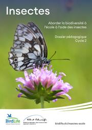 Dossier pédagogiques insectes - cycle 2