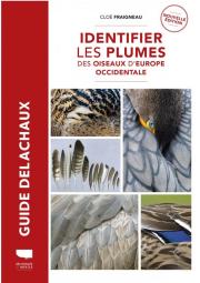 Identifier les plumes des oiseaux d'Europe occidentale