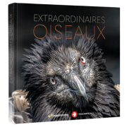 Extraordinaires oiseaux