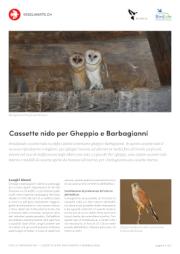 Cassette nido per Gheppio e Barbagianni