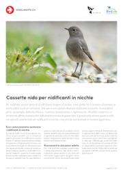 Cassette nido per nidificanti in nicchie