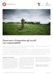 Osservare e fotografare gli uccelli con responsabilit&agrave;