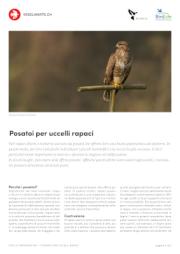 Posatoi per uccelli rapaci