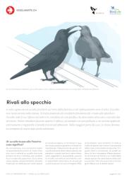 Rivali allo specchio