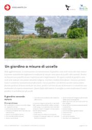 Un giardino a misura di uccello