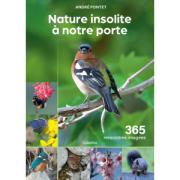 Nature insolite à notre porte