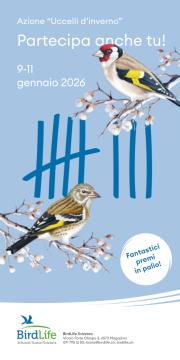 Azione "Uccelli d'inverno"