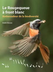 Le Rougequeue &agrave; front blanc - Ambassadeur de la biodiversit&eacute;