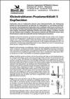 Kleinstrukturen-Praxismerkblatt 5 – Kopfweiden