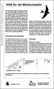 Hilfe für die Mehlschwalbe