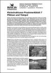Kleinstrukturen-Praxismerkblatt 7 – Pfützen und Tümpel