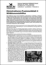 Kleinstrukturen-Praxismerkblatt 4 – Wildbienennisthilfen