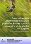 Empoisonnements de Faucons pèlerins et d'autres rapaces